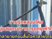 หนุ่มสมุทรปราการถูกงูเห่ากัด โทรร่ำลายายก่อนสิ้นใจคาสายโทรศัพท์!