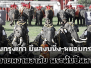 เผยภาพบรรยากาศ ควาญช้าง-ช้างกรุงเก่า ยืนสงบนิ่ง-หมอบกราบ ถวายความอาลัย พระพันปีหลวง