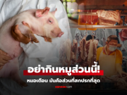 เตือนแล้วนะ!!! แพทย์ชี้ไม่ควรกิน “ส่วนที่สกปรกที่สุด” ของหมูโดยเด็ดขาด
