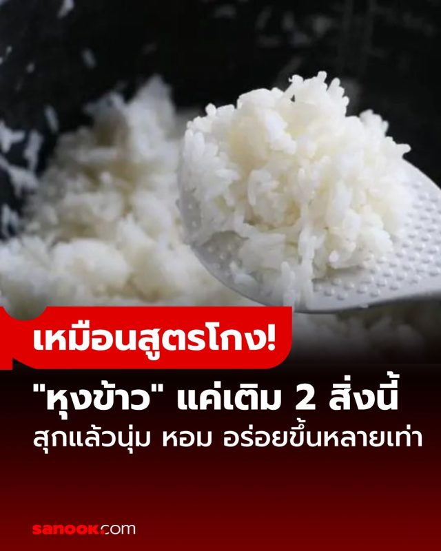 573542031_1264571155694170_4935930864517672842_n