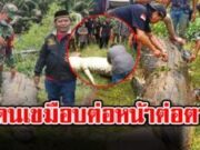 พ่อแม่ร้องไห้แทบขาดใจ จระเข้ยักษ์เขมือบลูก ลากลงน้ำต่อหน้าต่อตา (ข่าวต่างประเทศ)