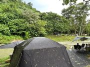 หนุ่มป่วยหลังไปกางเต็นท์ในป่า ตรวจเลือด 10 ครั้ง ถึงเจอต้นตอ