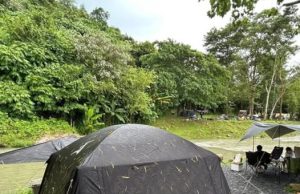 หนุ่มป่วยหลังไปกางเต็นท์ในป่า ตรวจเลือด 10 ครั้ง ถึงเจอต้นตอ