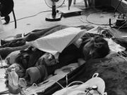 ลูกช้างวัย 11 วันสิ้นใจ เผยเป็นเคสแรกของไทยที่พยายามผ่าตัด