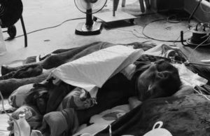 ลูกช้างวัย 11 วันสิ้นใจ เผยเป็นเคสแรกของไทยที่พยายามผ่าตัด