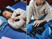 ได้ยินเสียง “กบ” จากห้องลูกสาวทั้งคืน ยกผ้านวมขึ้นแทบกรี๊ด ลูกนอนกอดตัวอะไร!!!