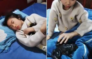 ได้ยินเสียง “กบ” จากห้องลูกสาวทั้งคืน ยกผ้านวมขึ้นแทบกรี๊ด ลูกนอนกอดตัวอะไร!!!