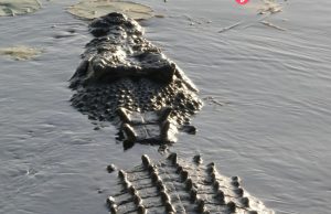 ด.ช.10 ขวบถูกจระเข้ยักษ์ จู่โจม – ลากลงแม่น้ำ ต่อหน้าชาวบ้าน