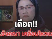 สว.อังคณา เคลื่อนไหวแล้ว!