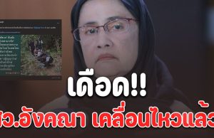 สว.อังคณา เคลื่อนไหวแล้ว!