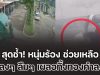 สุดช้ำ! หนุ่มร้อง สายไหมต้องรอด ช่วย แม่หลงๆ ลืมๆ เผลอทิ้งทองคำ มูลค่ากว่า 2 ล้าน ลงถังขยะ ครอบครัวมืดแปดด้าน