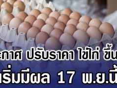 ประกาศ ปรับราคา ไข่ไก่ ขึ้นอีก เริ่มมีผล 17 พ.ย.นี้