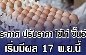 ประกาศ ปรับราคา ไข่ไก่ ขึ้นอีก เริ่มมีผล 17 พ.ย.นี้