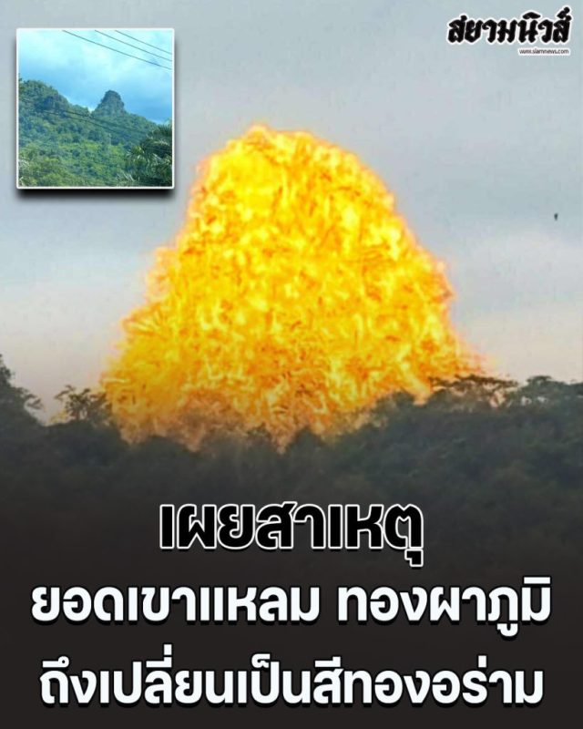 19b07a89-3f1f-4876-9593-3b8e0b633efc-3-819x1024-1