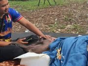 อาการ ‘พังข้าวต้ม’ ดีขึ้นต่อเนื่อง ทีมสัตวแพทย์ดูแลใกล้ชิด