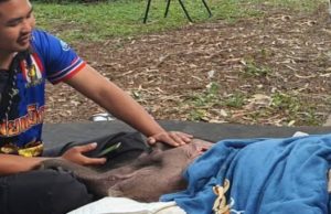 อาการ ‘พังข้าวต้ม’ ดีขึ้นต่อเนื่อง ทีมสัตวแพทย์ดูแลใกล้ชิด