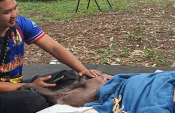 อาการ ‘พังข้าวต้ม’ ดีขึ้นต่อเนื่อง ทีมสัตวแพทย์ดูแลใกล้ชิด