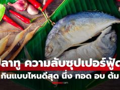เปิดความลับ “ปลาทู” ถูกยกให้เป็นซุปเปอร์ฟู้ด กินแบบไหนดีสุด นึ่ง ทอด อบ ต้ม