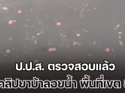 คดีพลิก! ป.ป.ส. ตรวจสอบแล้ว คลิปยาบ้าลอยน้ำ พื้นที่เขต 8 หาดใหญ่