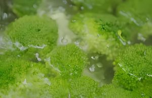 ผู้เชี่ยวชาญย้ำ “อย่าต้ม” ผักขายดี 3 อย่างนี้ กินกันทุกบ้าน แต่ส่วนใหญ่ไม่รู้!