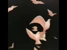 แบบทดสอบ ผู้หญิงหรือฝูงนก คุณเห็นอะไรก่อนกัน สะท้อนบุคลิกที่น่าสนใจ