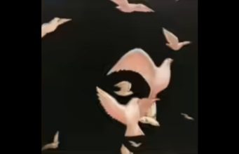 แบบทดสอบ ผู้หญิงหรือฝูงนก คุณเห็นอะไรก่อนกัน สะท้อนบุคลิกที่น่าสนใจ