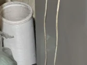 หนุ่มสงสัย งูอะไรเข้าบ้าน มีพิษไหม ชาวเน็ตแห่ขอบ้านเลขที่