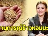 อัยรินทร์ รองโฆษกฯ เผย สถานการณ์ข้าวหอมมะลิ เป็นสัญญาณบวก
