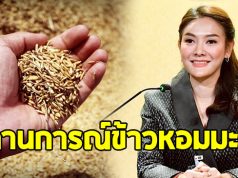 อัยรินทร์ รองโฆษกฯ เผย สถานการณ์ข้าวหอมมะลิ เป็นสัญญาณบวก