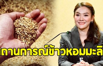 อัยรินทร์ รองโฆษกฯ เผย สถานการณ์ข้าวหอมมะลิ เป็นสัญญาณบวก