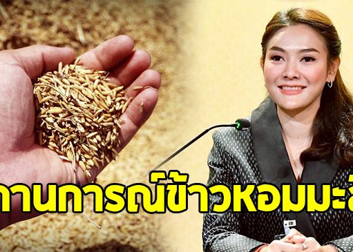 อัยรินทร์ รองโฆษกฯ เผย สถานการณ์ข้าวหอมมะลิ เป็นสัญญาณบวก