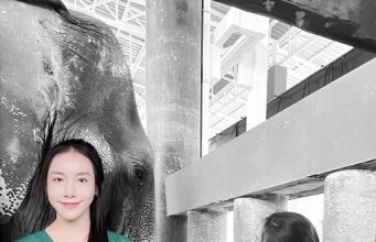 “หมอโบว์”เศร้า สิ่งสุดท้ายไม่ได้ทำ พังสร้อยฟ้า ล้ม หลังสู้18วัน