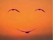 มองเห็นอะไรเป็นอย่างแรก? “ฝูงนกบิน” หรือ “ใบหน้ายิ้ม” บอกตัวตนลึกๆ ของคุณ