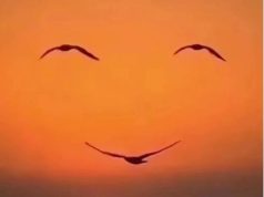 มองเห็นอะไรเป็นอย่างแรก? “ฝูงนกบิน” หรือ “ใบหน้ายิ้ม” บอกตัวตนลึกๆ ของคุณ