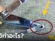 ไขข้อข้องใจ รูกลมเล็กๆ บนด้ามจับ “กรรไกรตัดเล็บ” มีประโยชน์อย่างไร?