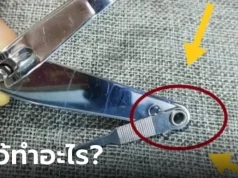 ไขข้อข้องใจ รูกลมเล็กๆ บนด้ามจับ “กรรไกรตัดเล็บ” มีประโยชน์อย่างไร?