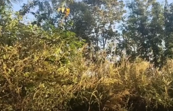 เปิดคลิปนาที ทหารกัมพูชาสู้รับกับทหารไทย บริเวณพื้นที่ปราสาทตาควาย