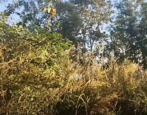 เปิดคลิปนาที ทหารกัมพูชาสู้รับกับทหารไทย บริเวณพื้นที่ปราสาทตาควาย