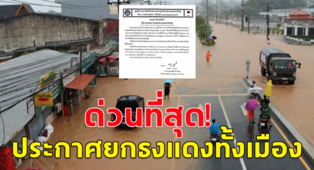 123592hp-1024x538-2-1-1-735x400-2