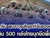 ใหม่กริบ อาวุธทันสมัยสัญชาติจีนของเขมร พบบนเนิน 500 หลังทหารไทยบุกยึดพื้นที่ได้