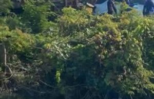 อุบัติเหตุสลด ฟอร์จูนเนอร์ตกคลองชลประทาน จ.ราชบุรี ดับ 9 ราย