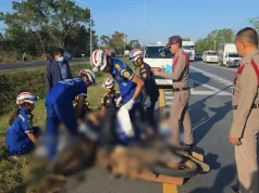 ครูหนุ่มเพิ่งบรรจุ กำลังจะได้สอนวันแรก แต่ต้องมาจากไปกะทันหัน