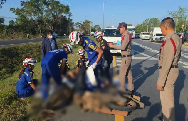 GoileUK6TSqGXXJc8VCI