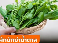 ผักนักฆ่าน้ำตาล สมุนไพรไทย 1 ชนิดที่เบาหวานกลัว นักวิจัยญี่ปุ่นยกย่องสรรพคุณ