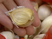 กระเทียมมีขายทุกที่ในตลาด แต่เห็น 4 ลักษณะนี้ อย่าซื้อเด็ดขาด—แจกฟรีก็ไม่ควรเอา