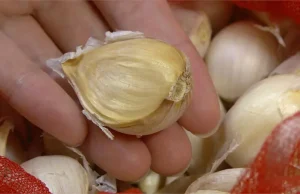 กระเทียมมีขายทุกที่ในตลาด แต่เห็น 4 ลักษณะนี้ อย่าซื้อเด็ดขาด—แจกฟรีก็ไม่ควรเอา