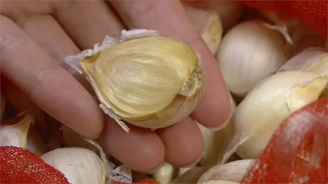 17677224431HL74jXn3w