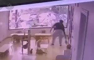 คลิปชัด! แฉคาเฟ่แมวบางเขน เจ้าของโหดทารุณสัตว์ ต่อย-เตะ จับแมวฟาดกำแพง