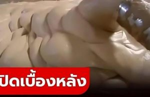 เปิดเบื้องหลัง “ฮอตด็อกทำมาจากอะไร” รู้แล้วอาจกินไม่ลงอีกเลย