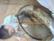 รู้แล้ว ปลาอะไร ทำชายหนุ่มถึงขั้นนอนหมดสติบน หาดจอมเทียน พัทยา